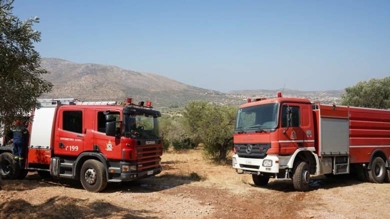 Επιχείρηση της Πυροσβεστικής σε φωτιά σε χαμηλή βλάστηση στη Χαλκίδα