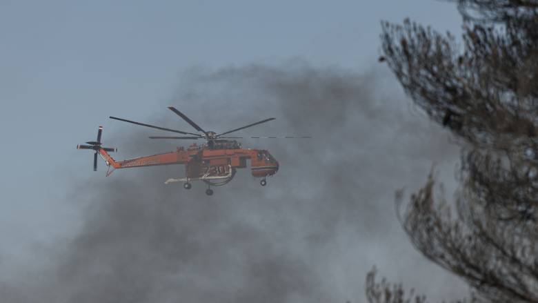 Πυρκαγιά στην Τουρτούγια Λάρισας: Καίει χαμηλή βλάστηση - «Σηκώθηκε» και ελικόπτερο