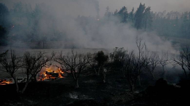 Ολονύκτια επιφυλακή για τη φωτιά στη Χαλκιδική: Σωτήριοι απεγκλωβισμοί, χάθηκαν δάσος και περιουσίες