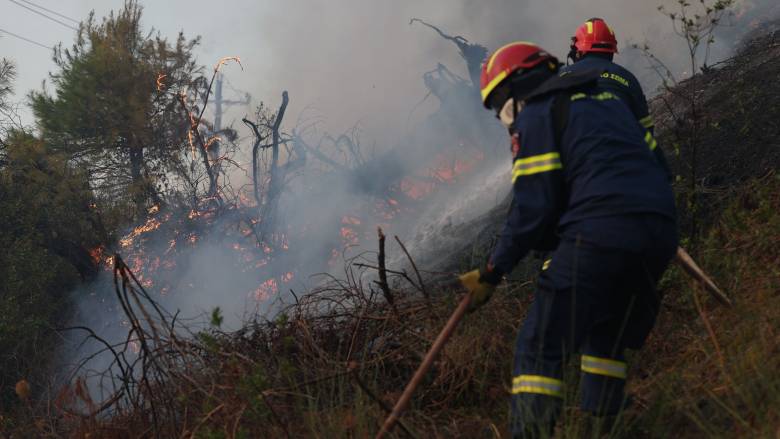 Φωτιά σε χαμηλή βλάστηση στο Λαχανά Θεσσαλονίκης: Στη μάχη επίγειες και εναέριες δυνάμεις