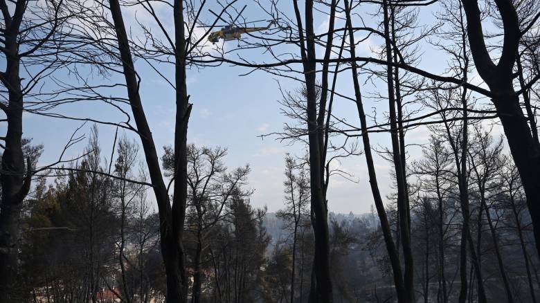 Αρτοποιός: Νέα έκκληση για αποφυγή θερμής εργασίας - «Πολύ αυξημένος ο κίνδυνος και σήμερα»