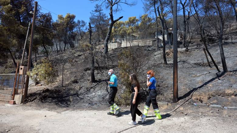 Κατσαφάδος μετά την σύσκεψη στη Σαλαμίνα: Ταχύτητα στις αποζημιώσεις για να επανέλθει η κανονικότητα