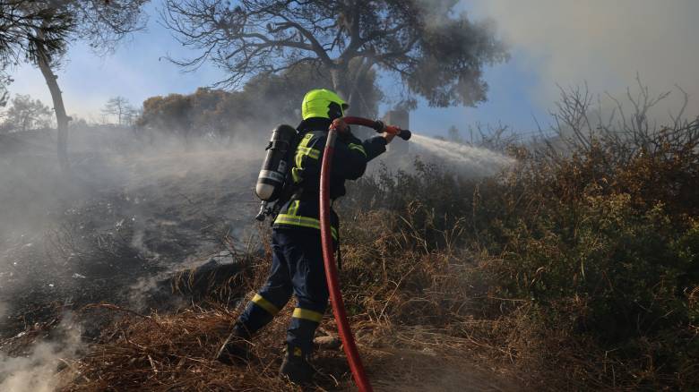 Βελτιωμένη η εικόνα της φωτιάς στον Άγιο Νικόλαο Λακωνίας -  Δεν απειλεί κατοικίες
