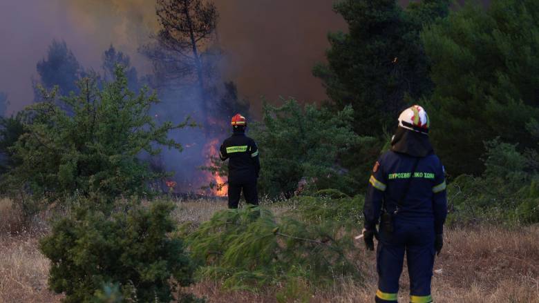 Υπό μερικό έλεγχο τέθηκαν οι φωτιές σε Ελάτεια Φθιώτιδας και Άγιο Νικόλαο Λακωνίας