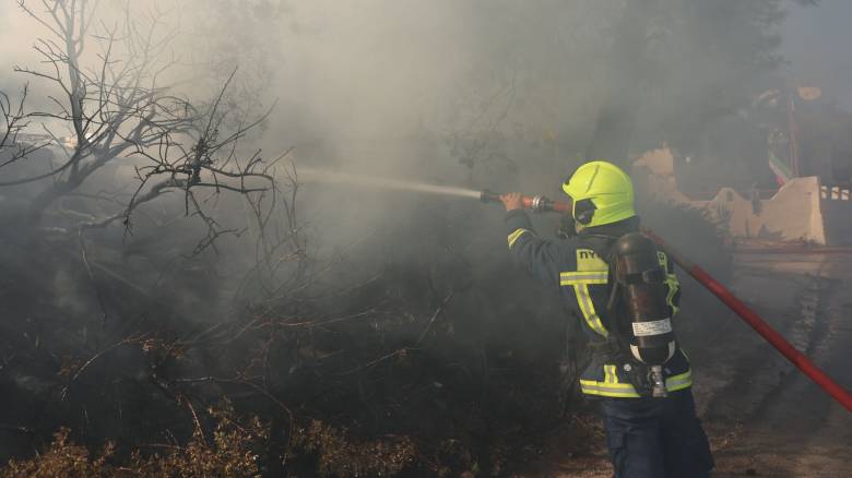 Καλύτερη η εικόνα της φωτιάς στην Ελάτεια Φθιώτιδας - Συνεχίζεται η μάχη σε διάσπαρτες εστίες