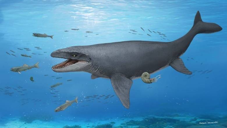 Βράχος ξεχασμένος για 30 χρόνια σε ιαπωνικό μουσείο έκρυβε τα οστά προϊστορικού θαλάσσιου τέρατος