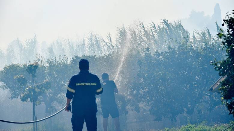 Φωτιά ξέσπασε σε χαμηλή βλάστηση στο Νεοχώρι Πρέβεζας - Ήχησε το 112 για ετοιμότητα