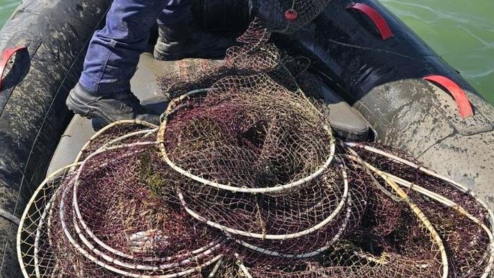 Θεσσαλονίκη: Εντοπίστηκαν και κατασχέθηκαν 96 ιχθυοπαγίδες στον Θερμαϊκό Κόλπο