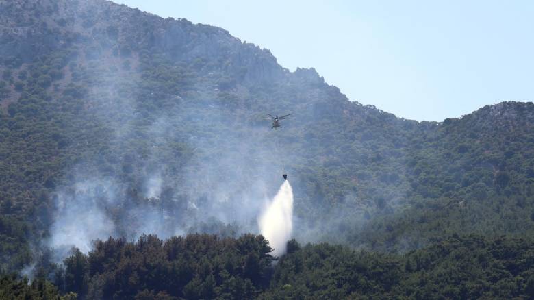 Βελτιωμένη η εικόνα της φωτιάς σε δασική έκταση στη Χίο - Συνεχίζει να καίει σε δύσβατη περιοχή
