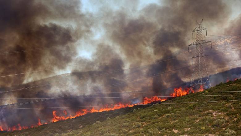 Χειροπέδες σε 53χρονο και 45χρονο για τη φωτιά στον Μύτικα Θήβας 