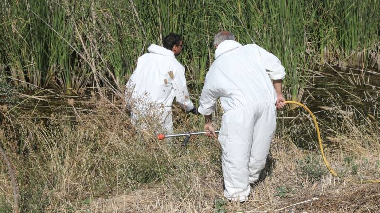 Ιός Δυτικού Νείλου: Βρέθηκε επιβεβαιωμένο κρούσμα και στο Παλαιό Φάληρο - Ξεκινούν άμεσα ψεκασμοί