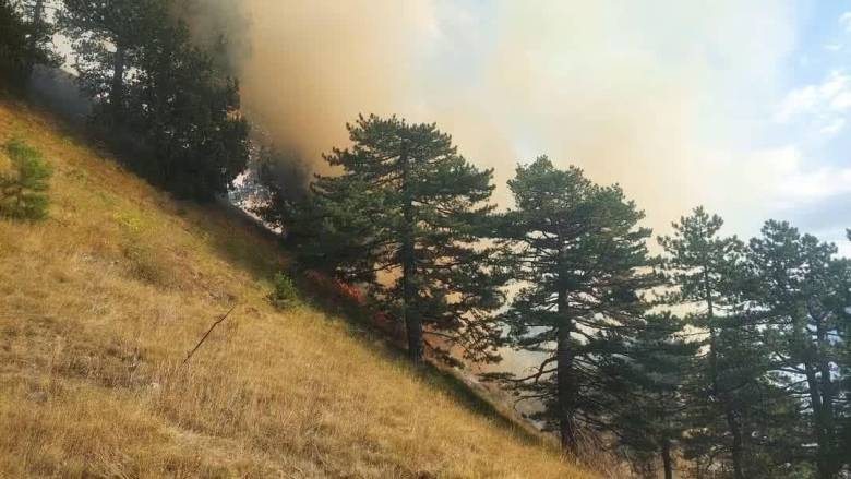 Κόνιτσα: Κερδίζουν τη μάχη με τις φλόγες οι δασοκομάντο