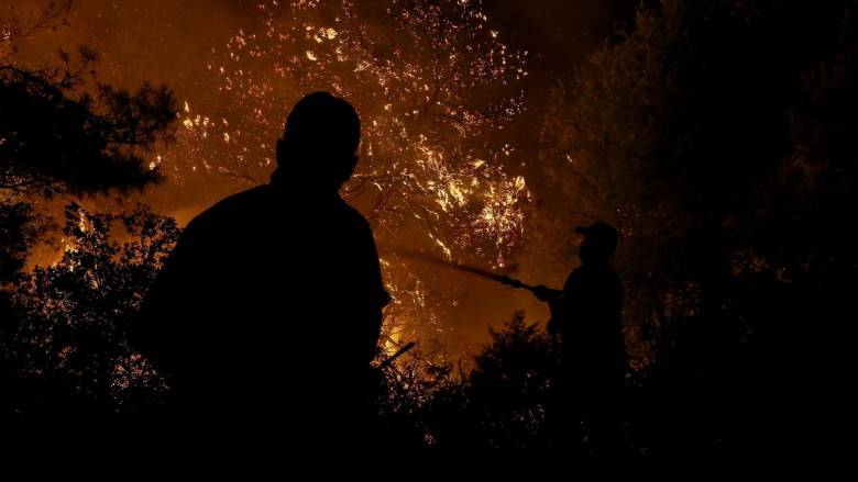 Φωτιά σε δασική έκταση στην περιοχή Λιαπάδες Κέρκυρας