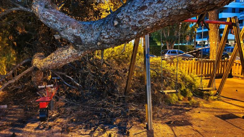 Θεσσαλονίκη: Έπεσε δέντρο σε πάρκο - Τραυματίστηκαν παιδί και η μητέρα του