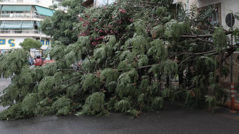 Καισαριανή: Διεκόπη η κυκλοφορία στη Φορμίωνος μετά από πτώση δέντρου
