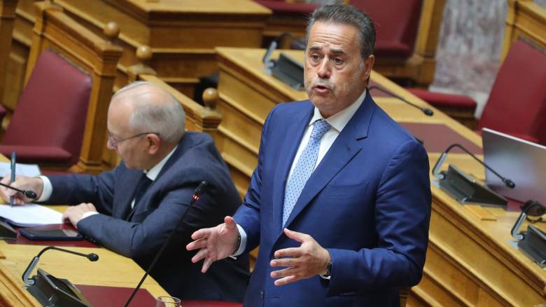 Παπασταύρου: Δεν τέθηκε ποτέ θέμα πίεσης ή απειλής της χώρας για να λάβει αποφάσεις