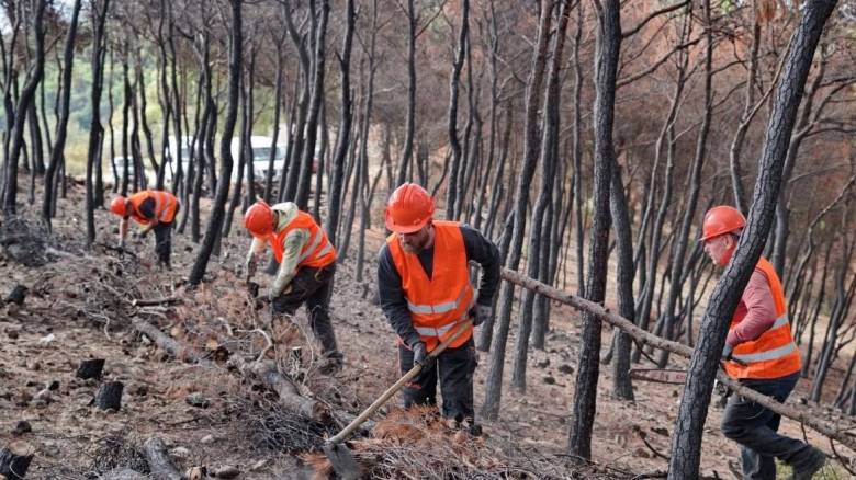 Προχωρούν με γοργούς ρυθμούς τα αντιπλημμυρικά έργα στα Μέγαρα - Αυτοψία Παπασταύρου στο σημείο