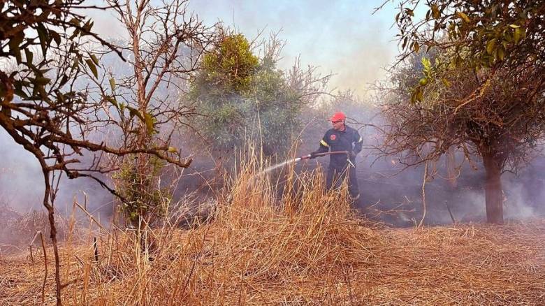 Υπό έλεγχο τέθηκε η φωτιά στην Μονεμβασιά Λακωνίας