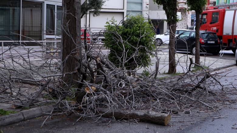 Αναμοστρόβιλος «ξήλωσε» κολώνα φωτισμού και κεραμύδια στο Λαύριο - Μία τραυματίας