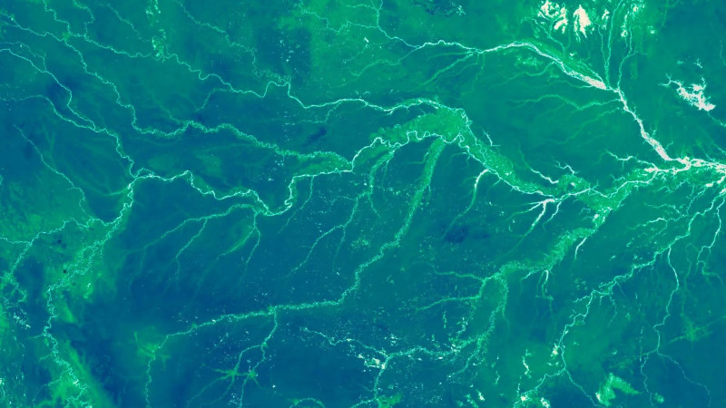 Οι επιστήμονες «ζύγισαν» τη βλάστηση του πλανήτη