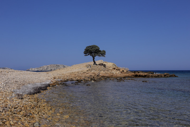 Λιβάνια Ποσειδωνίας, «πυξίδα» το Αμοργόραμα: Προεδρικό Διάταγμα για την προστασία του Αιγαίου
