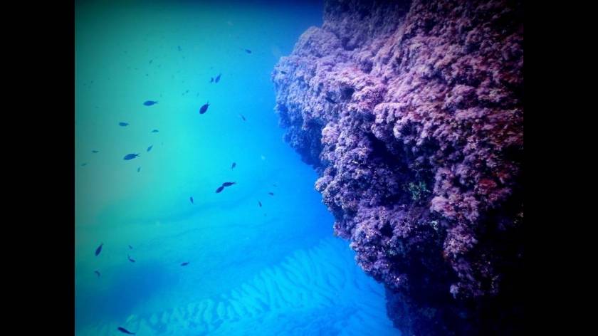 Μήλος. Προτείνεται το Σαρακήνικο, το Κλέφτικο και το Παλιοχώρι.