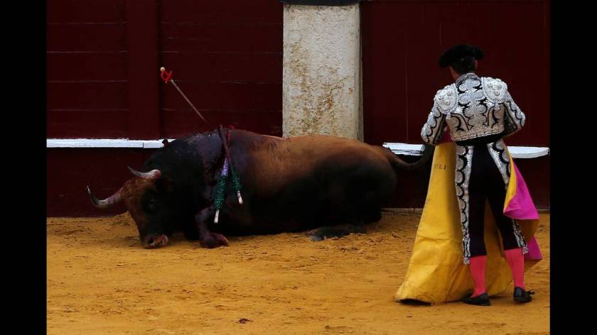 Οι Ισπανοί διαδηλώνουν με έναν πρωτότυπο τρόπο κατά των ταυρομαχιών