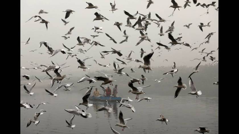 Τοξικό νέφος έχει σκεπάσει το Νέο Δελχί