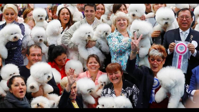 Πάνω από 31.000 διαγωνιζόμενοι στο World Dog Show στη Γερμανία