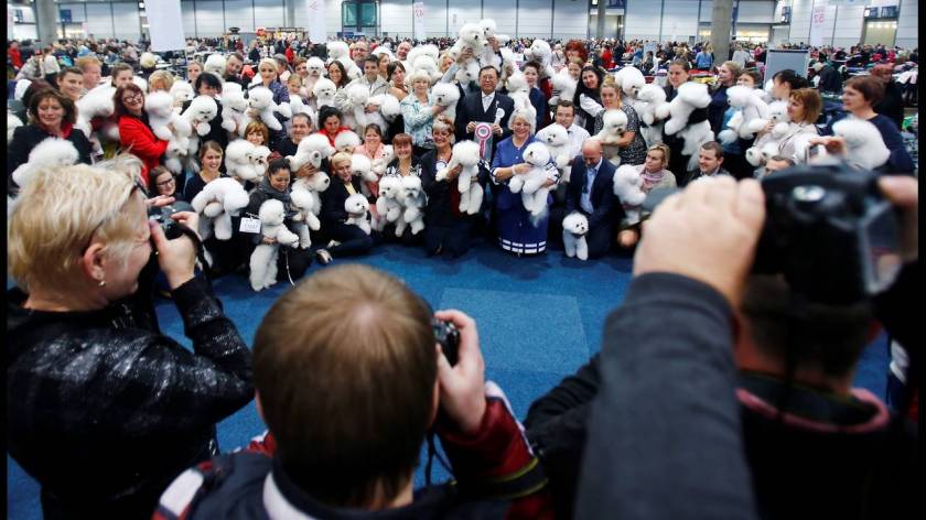 Πάνω από 31.000 διαγωνιζόμενοι στο World Dog Show στη Γερμανία