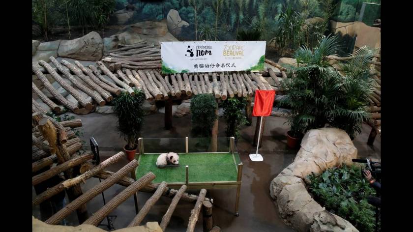 Μπριζίτ Μακρόν: «Νονά» του πρώτου πάντα που γεννήθηκε στη Γαλλία