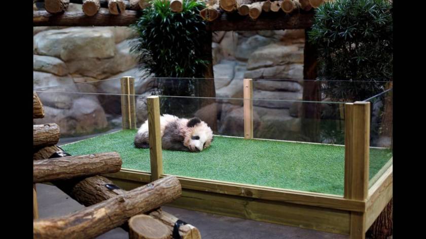 Μπριζίτ Μακρόν: «Νονά» του πρώτου πάντα που γεννήθηκε στη Γαλλία