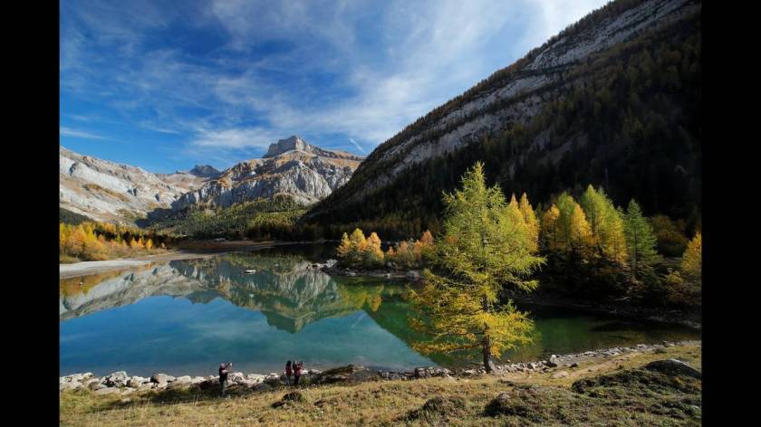 Πεύκα με φόντο το βουνό Gond κοντά στη λίμνη Derborence στην Ελβετία.