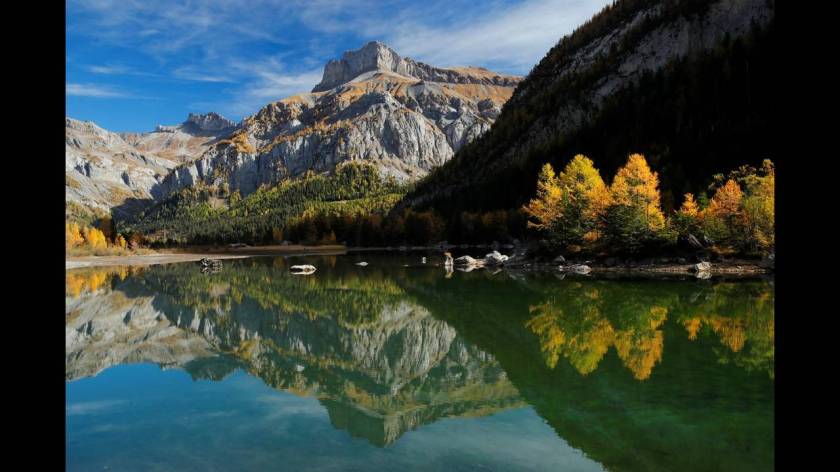 Πεύκα με φόντο το βουνό Gond κοντά στη λίμνη Derborence στην Ελβετία.