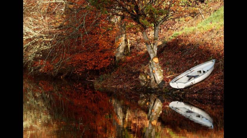 Φθινοπωρινά χρώματα στην τεχνητή λίμνη Faskally στο Pitlochry της Σκωτίας.