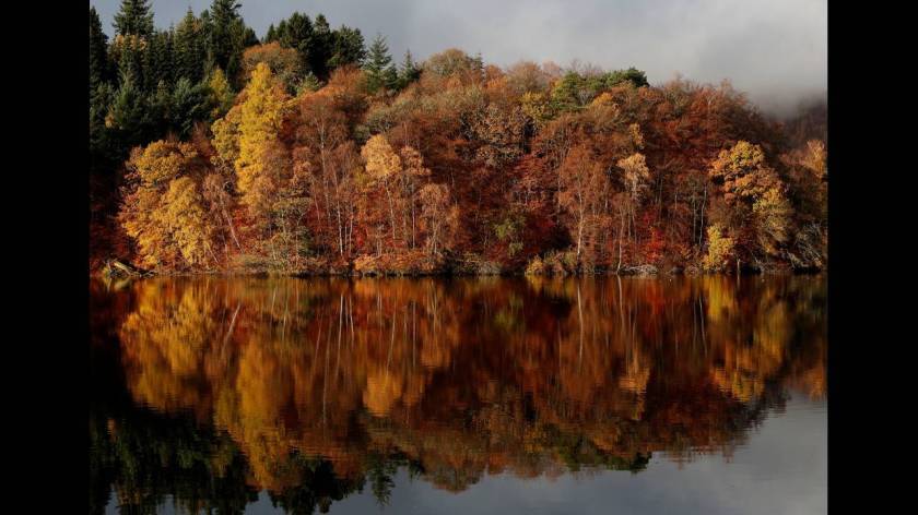Φθινοπωρινά χρώματα στην τεχνητή λίμνη Faskally στο Pitlochry της Σκωτίας.
