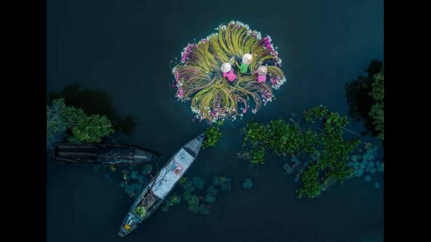 Λουλούδια στο νερό