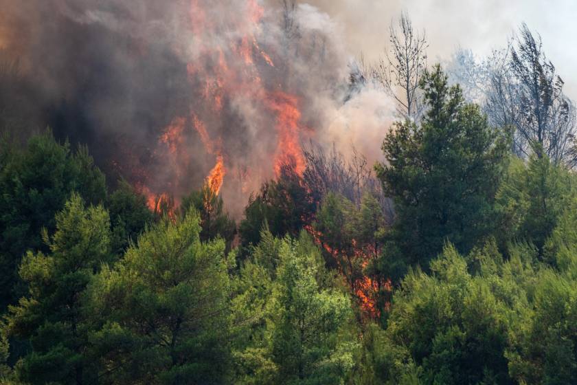 ΦΩΤΙΑ ΣΤΟ ΓΕΡΑΚΙ ΑΜΑΛΙΑΔΑΣ (EUROKINISSI/ILIALIVE.GR ΓΙΑΝΝΗΣ ΣΠΙΡΟΥΝΗΣ)