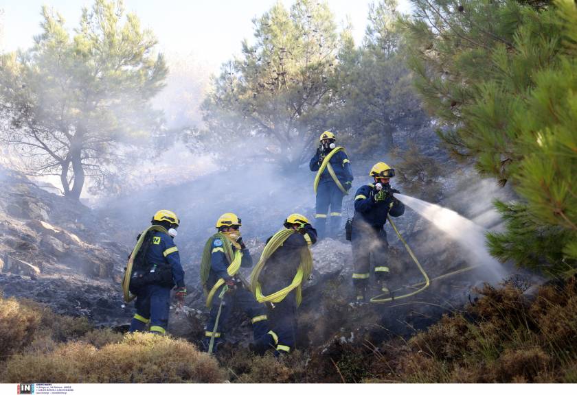 XIOS, CHIOS, FOTIA, PIRKAGIA