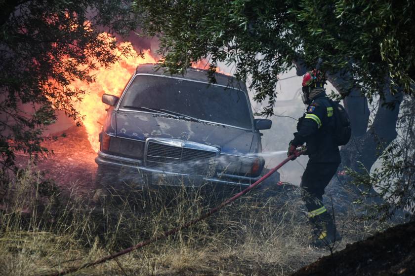 axaia, patra, fotia, pirkagia