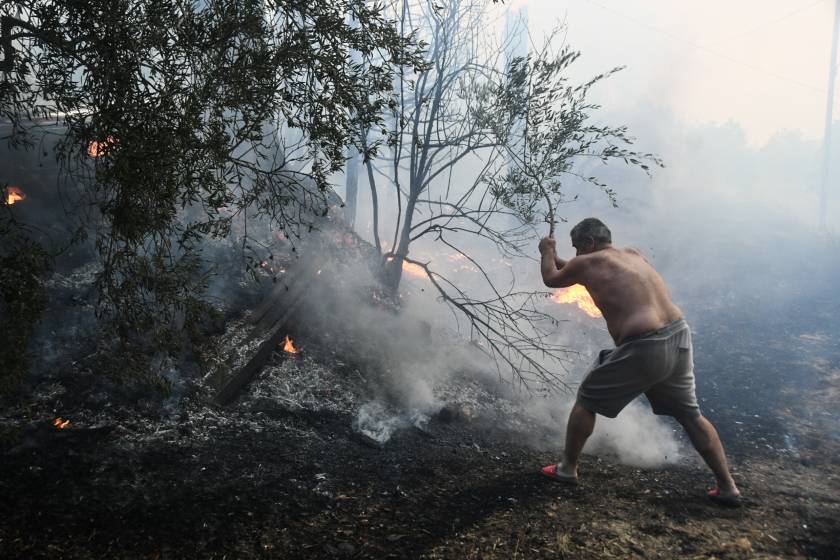 axaia, patra, fotia, pirkagia