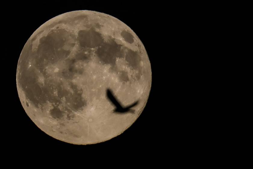 MOON, FEGGARI, PANSELINOS