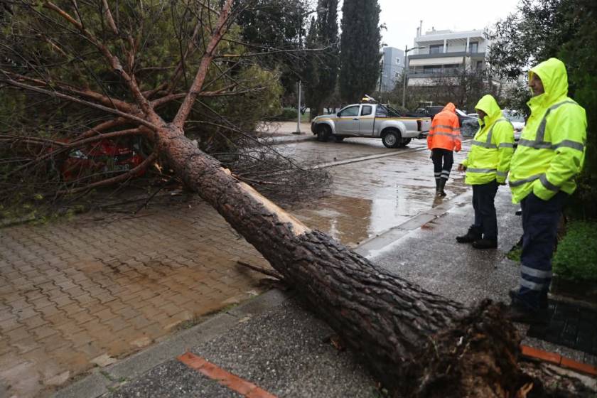 marousi kakokairia ptosi dentron