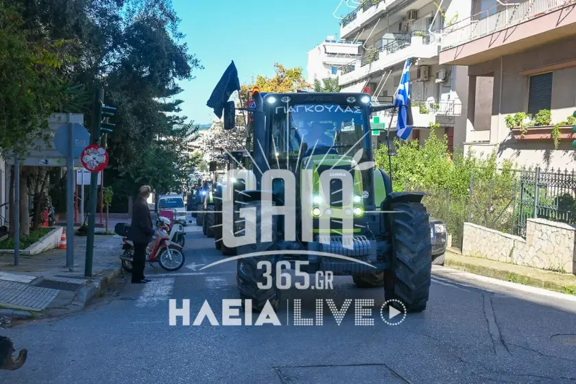 Kinitopoiisi agrotes ileia