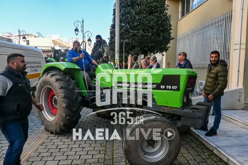 Kinitopoiisi agrotes ileia