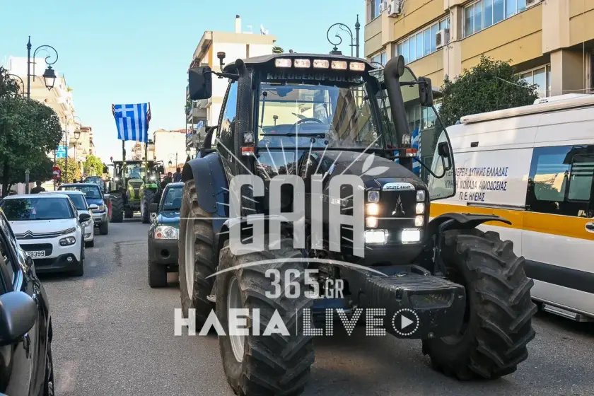 Kinitopoiisi agrotes ileia