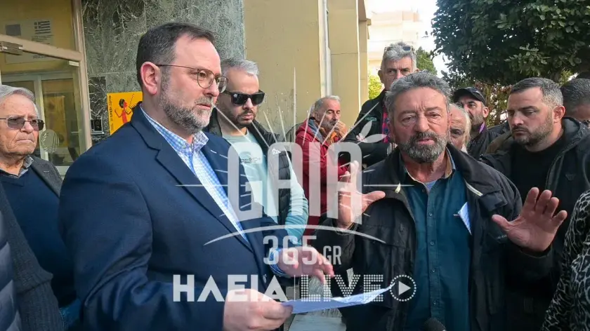 Kinitopoiisi agrotes ileia