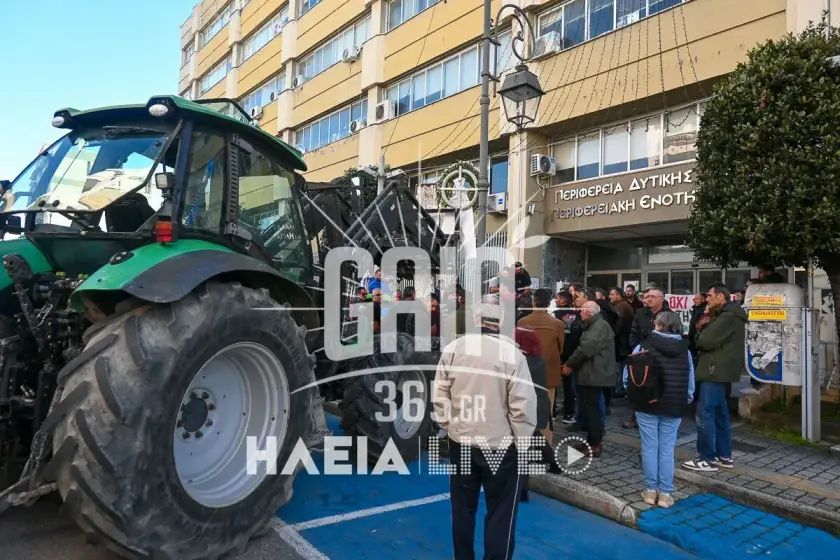 Kinitopoiisi agrotes ileia