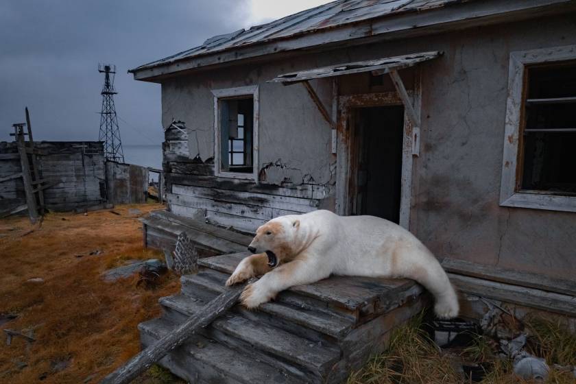 YE Global Best of 2025 Photo Gallery