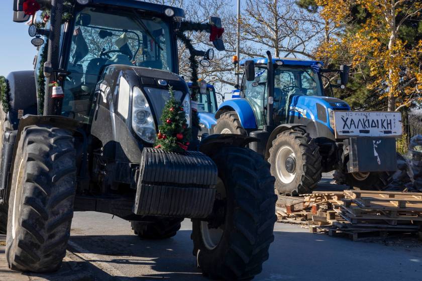 agrotes prasina fanaria